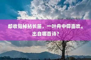 却收短棹拈长笛，一叶舟中仰面吹。出自哪首诗？