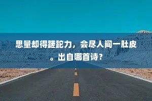 思量却得蹉跎力，会尽人间一肚皮。出自哪首诗？