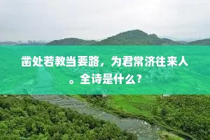 凿处若教当要路，为君常济往来人。全诗是什么？