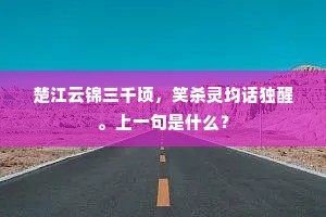 楚江云锦三千顷，笑杀灵均话独醒。上一句是什么？