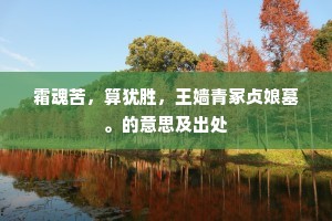 霜魂苦，算犹胜，王嫱青冢贞娘墓。的意思及出处