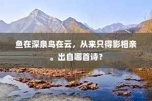 鱼在深泉鸟在云，从来只得影相亲。出自哪首诗？