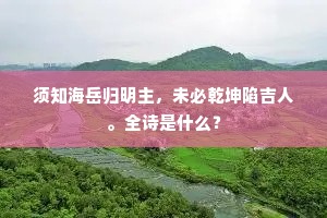 须知海岳归明主，未必乾坤陷吉人。全诗是什么？