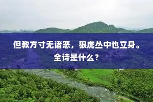 但教方寸无诸恶，狼虎丛中也立身。全诗是什么？