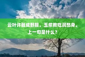 云叶许裁成野服，玉浆教吃润愁身。上一句是什么？
