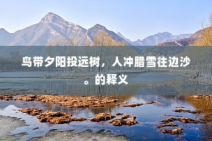 鸟带夕阳投远树，人冲腊雪往边沙。的释义