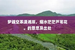 梦魂空系潇湘岸，烟水茫茫芦苇花。的意思及出处