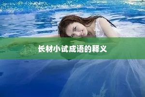 长材小试成语的释义