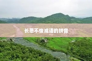 长恶不悛成语的拼音