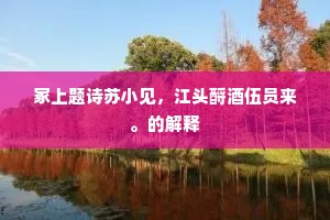 冢上题诗苏小见，江头酹酒伍员来。的解释