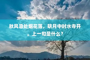 秋风急处烟花落，明月中时水寺开。上一句是什么？