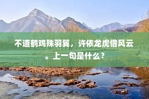 不道鹤鸡殊羽翼，许依龙虎借风云。上一句是什么？