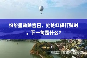 纷纷墨敕除官日，处处红旗打贼时。下一句是什么？
