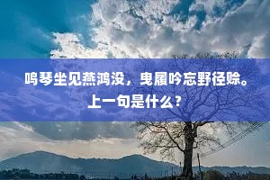 鸣琴坐见燕鸿没，曳履吟忘野径赊。上一句是什么？