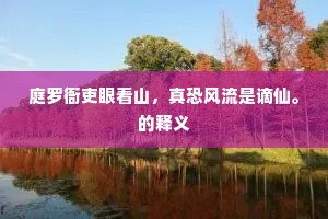 庭罗衙吏眼看山，真恐风流是谪仙。的释义
