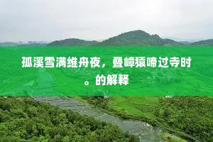孤溪雪满维舟夜，叠嶂猿啼过寺时。的解释