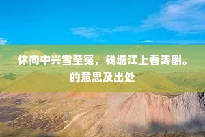 休向中兴雪至冤，钱塘江上看涛翻。的意思及出处