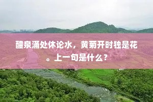 醴泉涌处休论水，黄菊开时独是花。上一句是什么？