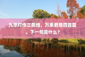 九华灯作三条烛，万乘君悬四首题。下一句是什么？