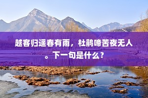 越客归遥春有雨，杜鹃啼苦夜无人。下一句是什么？