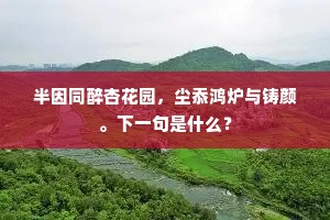 半因同醉杏花园，尘忝鸿炉与铸颜。下一句是什么？