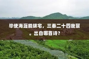 毕使海涯能拔宅，三秦二十四畿寰。出自哪首诗？