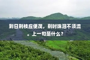 到日荆枝应便茂，别时珠泪不须流。上一句是什么？