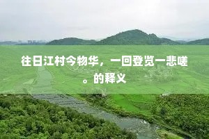往日江村今物华，一回登览一悲嗟。的释义