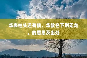华表柱头还有鹤，华歆名下别无龙。的意思及出处