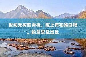 世间无树胜青桂，陇上有花唯白杨。的意思及出处