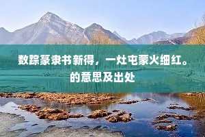 数踪篆隶书新得，一灶屯蒙火细红。的意思及出处