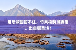 定恐故园留不住，竹风松韵漫凄锵。出自哪首诗？