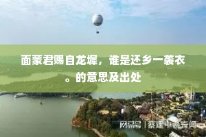面蒙君赐自龙墀，谁是还乡一袭衣。的意思及出处