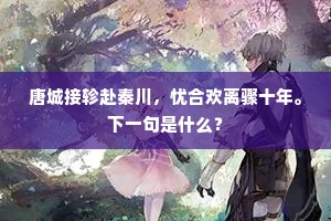 唐城接轸赴秦川，忧合欢离骤十年。下一句是什么？
