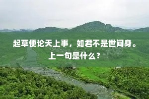 起草便论天上事，如君不是世间身。上一句是什么？