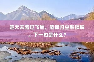 楚天去路过飞雁，灞岸归尘触锁城。下一句是什么？