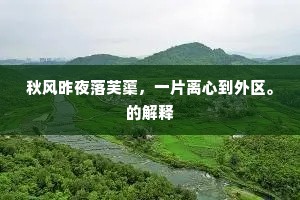 秋风昨夜落芙蕖，一片离心到外区。的解释