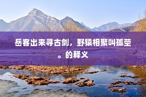 岳客出来寻古剑，野猿相聚叫孤茔。的释义