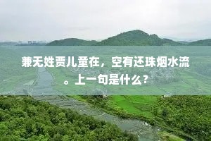 兼无姓贾儿童在，空有还珠烟水流。上一句是什么？