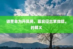 锦里幸为丹凤阙，幕宾征出紫微郎。的释义