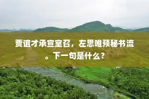 贾谊才承宣室召，左思唯预秘书流。下一句是什么？