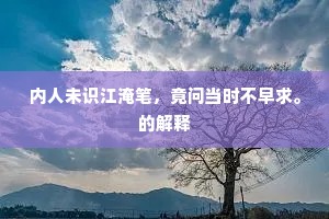 内人未识江淹笔，竟问当时不早求。的解释