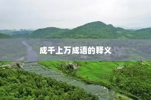 成千上万成语的释义