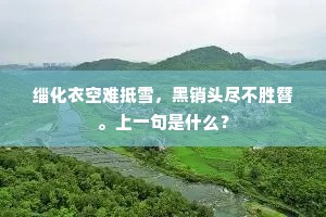 缁化衣空难抵雪，黑销头尽不胜簪。上一句是什么？
