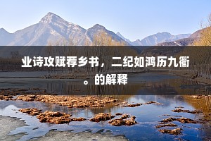 业诗攻赋荐乡书，二纪如鸿历九衢。的解释