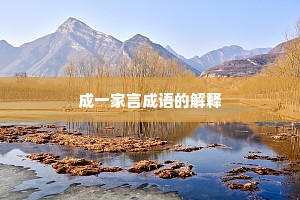 成一家言成语的解释