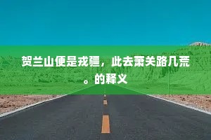 贺兰山便是戎疆，此去萧关路几荒。的释义