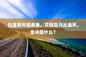 白首青衫犹未换，又骑羸马出函关。全诗是什么？
