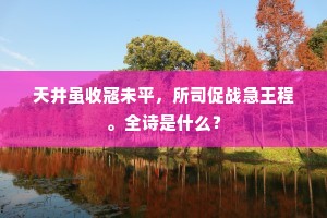 天井虽收寇未平，所司促战急王程。全诗是什么？
