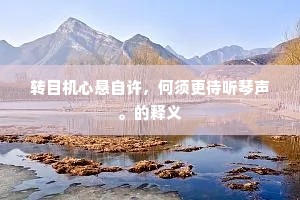 转目机心悬自许，何须更待听琴声。的释义